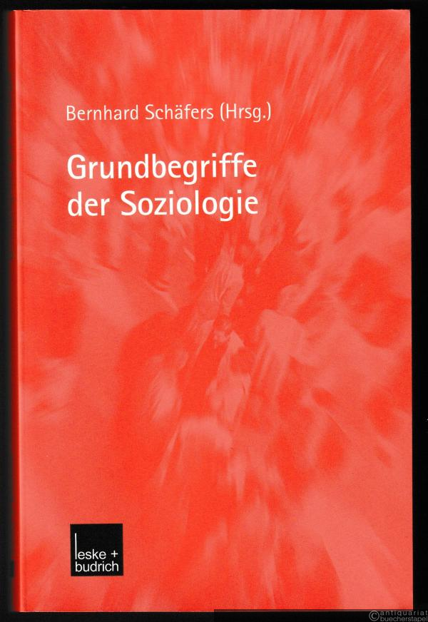  - Grundbegriffe der Soziologie (= UTB, 1416)