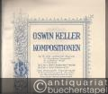 Das bewusste Klavierspiel, klaviertechnische Studien, ein Weg, alle Kraftquellen zur Ausbildung der Technik auszunützen. Klavierschule für Anfänger.