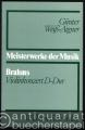 Johannes Brahms, Violinkonzert D-Dur (= Meisterwerke der Musik. Werkmonographien zur Musikgeschichte, Heft 18).