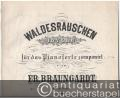 Waldesrauschen. Idylle für das Pianoforte componirt von Fr. Braungardt, Op. 6.