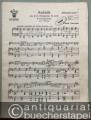 Musik (Bücher/Noten) » Noten/Partituren - Andante aus der 5. Symphonie e-Moll von P. Tschaikowsky (= Lyra No. 2998). Salonorchester. 13 Stimmen.