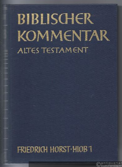  - Hiob 1-19 (= Biblischer Kommentar Altes Testament, Band XVI/1).